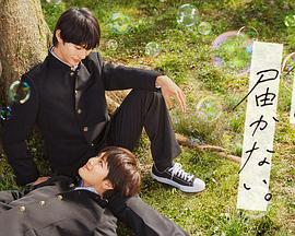 济南网站优化注意事项